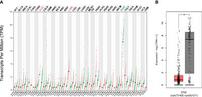 GHRL as a prognostic biomarker correlated with immune infiltrates and progression of precancerous lesions in gastric cancer